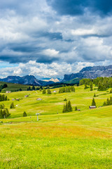 Alpe di Siusi, Seiser Alm with Sassolungo Langkofel Dolomite, a large green field with a mountain in the background