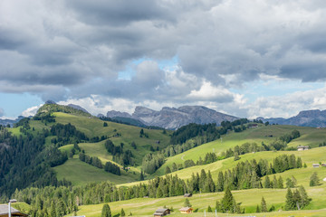 Alpe di Siusi, Seiser Alm with Sassolungo Langkofel Dolomite, a close up of a lush green field in a valley canyon