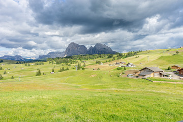 Fototapeta premium Alpe di Siusi, Seiser Alm with Sassolungo Langkofel Dolomite, a close up of a lush green field in a valley canyon