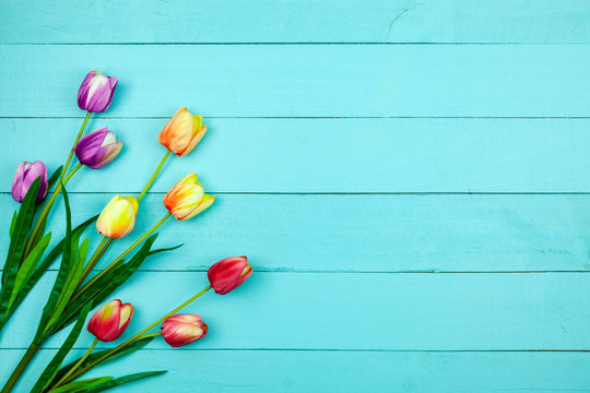 Spring flower of multi color Tulips on wood ,Flat lay image for holiday greeting card for Mother's day,Valentine's day, Woman's day and copy space space for your text