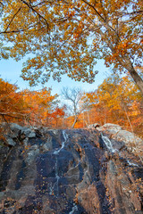 Gatineau Park forest in fall 