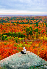 Gatineau Park forest in fall 