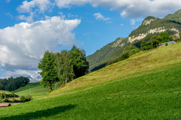 Fototapeta na wymiar Alpe di Siusi, Seiser Alm with Sassolungo Langkofel Dolomite, a close up of a lush green hillside