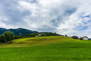 Alpe di Siusi, Seiser Alm with Sassolungo Langkofel Dolomite, a close up of a lush green field