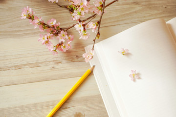 Cherry blossoms and note  サクラとノート