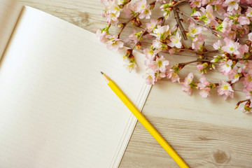 Cherry blossoms and note  サクラとノート