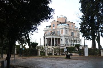 Old palace in the trees