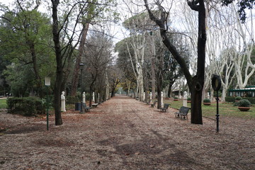 alley in the park during fall