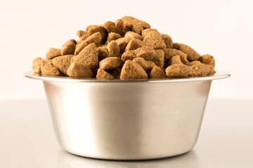 Bowl with dog food on a light background . Close up.