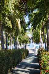 Obraz premium Cuba, Varadero