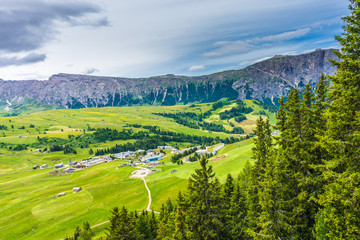 Fototapeta premium Alpe di Siusi, Seiser Alm with Sassolungo Langkofel Dolomite, lush green field in Seiser Alm Puflatsch Bullaccia
