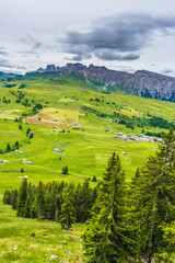 Alpe di Siusi, Seiser Alm with Sassolungo Langkofel Dolomite, lush green field in Seiser Alm Puflatsch Bullaccia