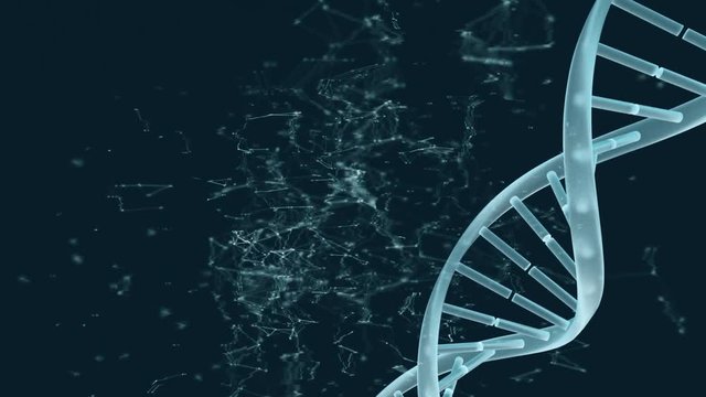 Animation of spinning DNA and data connections