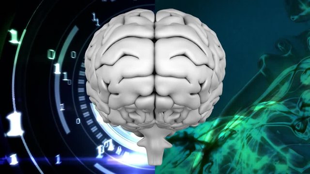 White brain divided in two parts