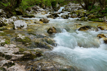 Clear cold alpine Lepenica river in Spring at Sunikov Vodni Gaj Nature Preserve in Triglav National Park Julian Alps Lepena Valley Slovenia - obrazy, fototapety, plakaty