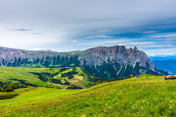 Alpe di Siusi, Seiser Alm with Sassolungo Langkofel Dolomite, a large green field with Benbulbin in the background