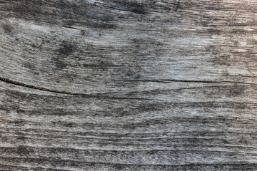 Naklejka premium Old grunge wood texture background. White and black. photo