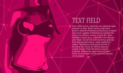 Beautiful sexy fitness girl. Pretty fit woman posing. Magenta lingerie. Connected lines with dots background. Field for text