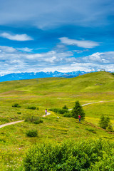 Alpe di Siusi, Seiser Alm with Sassolungo Langkofel Dolomite, a group of people walking on a grassy hill