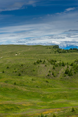Obraz premium Alpe di Siusi, Seiser Alm with Sassolungo Langkofel Dolomite, a herd of sheep grazing on a lush green field
