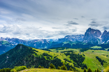 Alpe di Siusi, Seiser Alm with Sassolungo Langkofel Dolomite, a view of a large mountain in the background