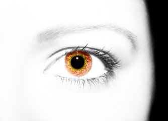 A beautiful insightful look eye. Close up shot