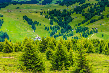 Alpe di Siusi, Seiser Alm with Sassolungo Langkofel Dolomite, lush green field in Seiser Alm...