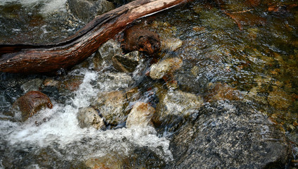 Water running over rocks