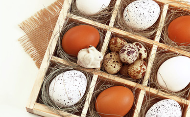 Easter. Easter eggs lie in a box, on a light background. Near Easter bunny or rabbit. Selective focus, toning, blur.