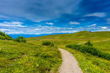 Fototapeta na wymiar Alpe di Siusi, Seiser Alm with Sassolungo Langkofel Dolomite, a walking winding path in a lush green field