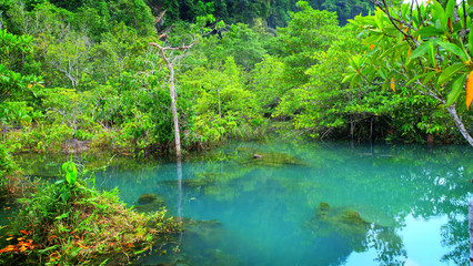 Emerald spring pool among tropical forest beside sea at Krabi province, The south of Thailand.