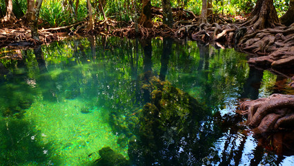 Emerald spring pool among tropical forest beside sea at Krabi province, The south of Thailand.