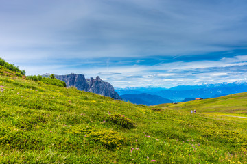 Fototapeta premium Alpe di Siusi, Seiser Alm with Sassolungo Langkofel Dolomite, a close up of a lush green hillside