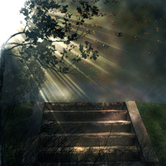stone stairs in nature 3d illustration with sun rays coming from one side