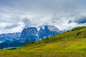 Fototapeta na wymiar Alpe di Siusi, Seiser Alm with Sassolungo Langkofel Dolomite, a large mountain in the background