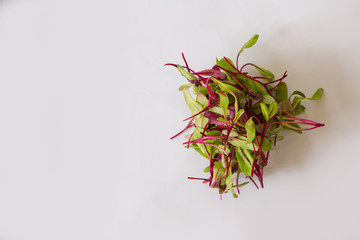 Micro crimson leaf delicate mix of red chard beetroot and mustard leaves
