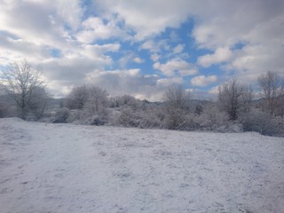 winter landscape with trees and blue sky