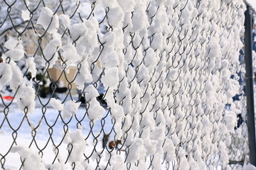 Snow and Fence