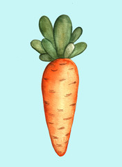 vegetables food carrot hand drawn illustration