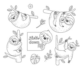 search photos sloth