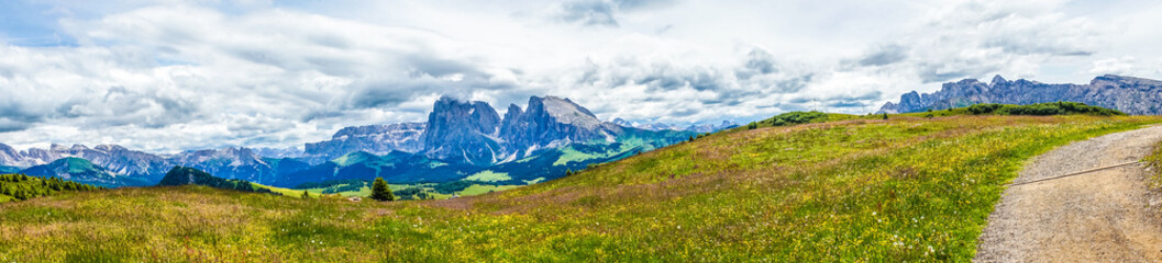 Alpe di Siusi, Seiser Alm with Sassolungo Langkofel Dolomite, a large green field with a mountain in the background panorama