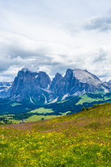 Fototapeta na wymiar Alpe di Siusi, Seiser Alm with Sassolungo Langkofel Dolomite, a field with a mountain in the background