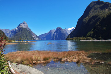 Milford sound fjord, Queenstown, New Zealand