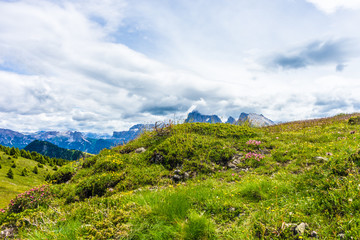 Alpe di Siusi, Seiser Alm with Sassolungo Langkofel Dolomite, a large green field with a mountain in the background