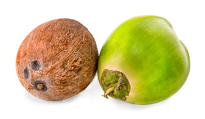 green coconut isolated on white background