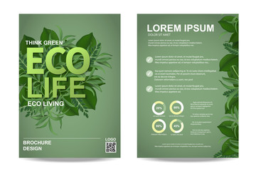ecology brochure flyer design layout template in A4 size, eco life and green concept, Vector