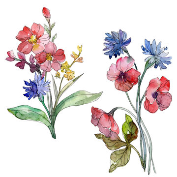 Wildflower bouquet floral botanical flowers. Watercolor background set. Isolated wildflowers illustration element.