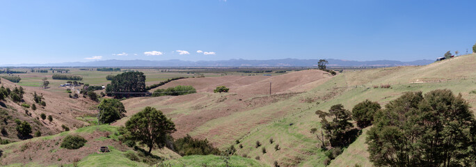 Hot dry summer in central North Island of New Zealand