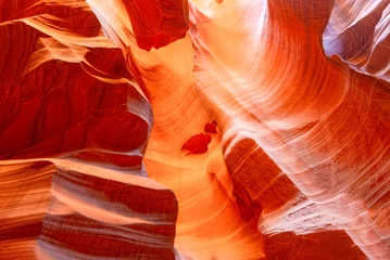 Poster Der Antelope Canyon ist ein Slot Canyon im Südwesten der USA. © BRIAN_KINNEY