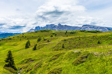 Fototapeta premium Alpe di Siusi, Seiser Alm with Sassolungo Langkofel Dolomite, a close up of a lush green field in a valley canyonAlpe di Siusi, Seiser Alm with Sassolungo Langkofel Dolomite, a close up of a lush gree